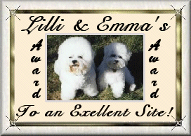 Lilli
& Emma Award