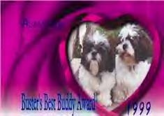 Sweet Site Award