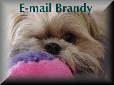 E-Mail my Mom and Dad!