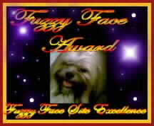 FuzzyFace Award