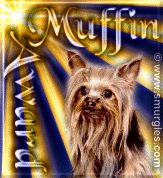Muffin's Award