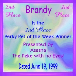 Perky Pet of the Week