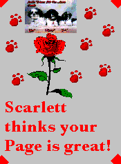 Scarlett Award