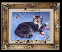 Tamara's Great Site Award!
