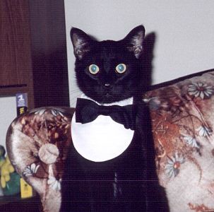 007 Buddie