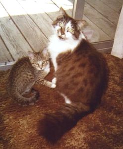 Cleo & Ralph