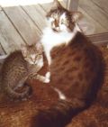 Cleo & Ralph