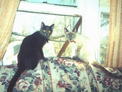 Conway & Loretta