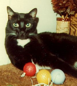 Tuxie