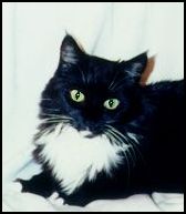 Athena