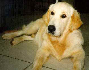 Aldo