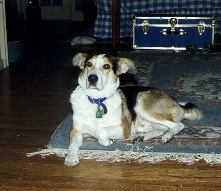 The Bohman, Angela's guy.