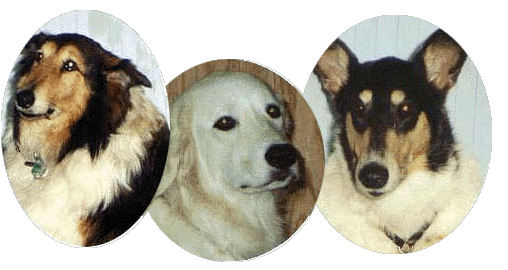 Bill and Mary's girls; Abby, Guenna and Katie.