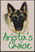 Arista award