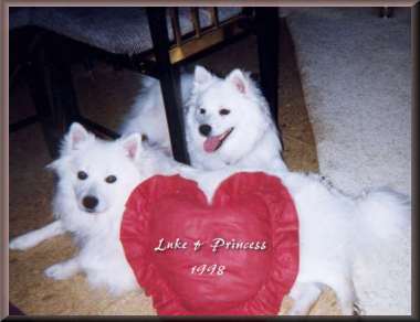 Princess and Luke