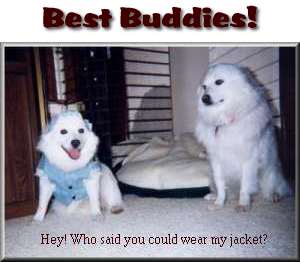 Best Buddies