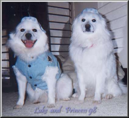 Best Buddies