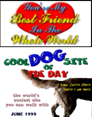 cool dog site of the day!