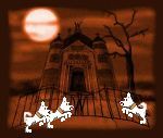 Tour the haunted house if you dare!