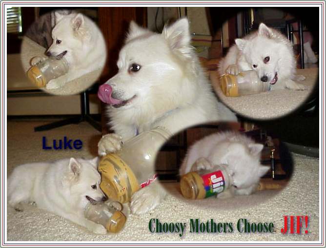 choosy mothers choose jif choosy mothers choose jif