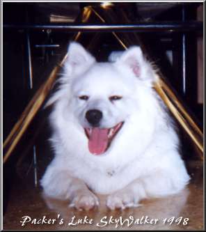 Luke hiding under the table