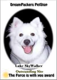 lukes award 200x282