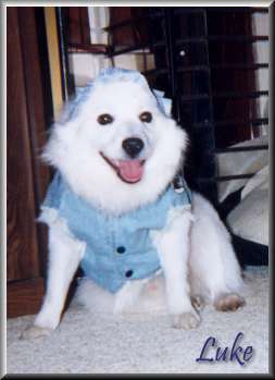 Luke in his jean jacket