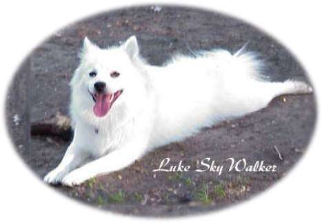 luke