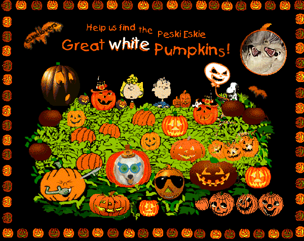 Luke says... It's Halloween! Yeah, Baby Yeah! Click me!