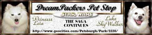 Dreampackers pet pages banner one