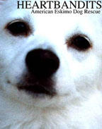 American Eskimo rescue group