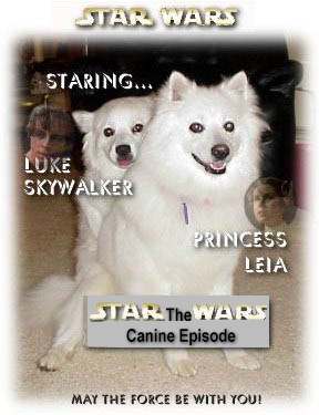 star wars picture