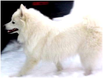 princess in the snow