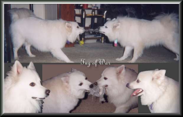 tug of war