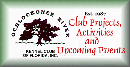 Club Logo
