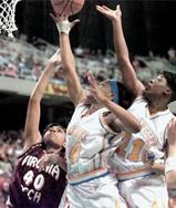 Two Meeks - 1998 Season