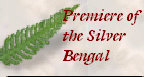 bengalpine4025.jpg