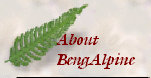 bengalpine4043.jpg