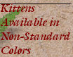 bengalpine4055.jpg