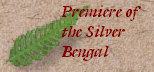 bengalpine4056.jpg