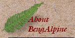 bengalpine4120.jpg