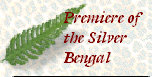 bengalpine4158.jpg