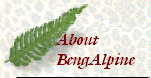 bengalpine4171.jpg