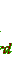 bengalpine4181.gif
