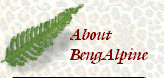 bengalpine4189.jpg