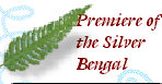 bengalpine4194.jpg