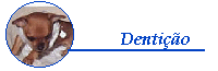 Denti��o