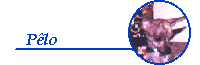 P�lo