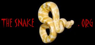 /user/banner.jpg