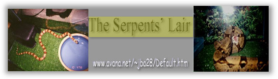 /user/banner3.jpg